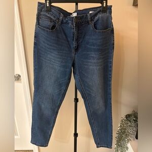 Ellen Tracy Lizette Jeans